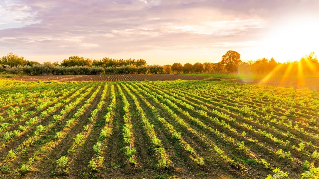 agricultural-land-purchase-in-india