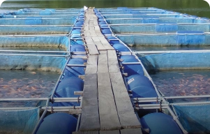 KPC Pisciculture category services