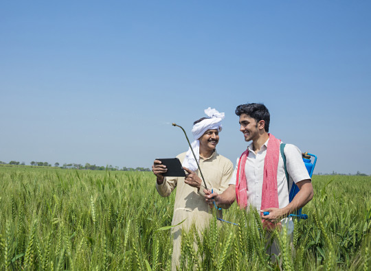 Ujjivan's agriculture banking services